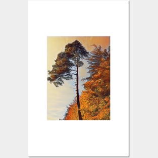 Autumn forest at dusk Posters and Art